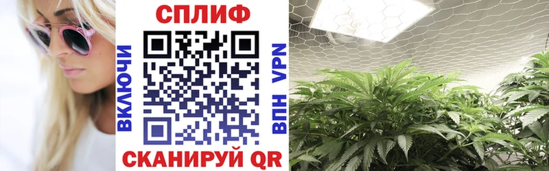 Названия наркотиков Калязин Бошки Шишки  COCAIN  omg сайт  Гашиш 