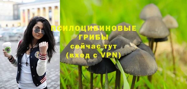 2c-b Нефтегорск
