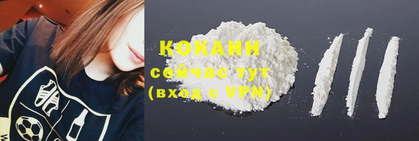 шишки Нея