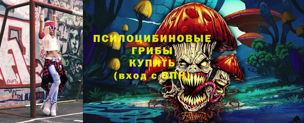 спиды Новокубанск