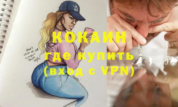 шишки Нея