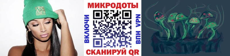 Галлюциногенные грибы Psilocybe Калязин