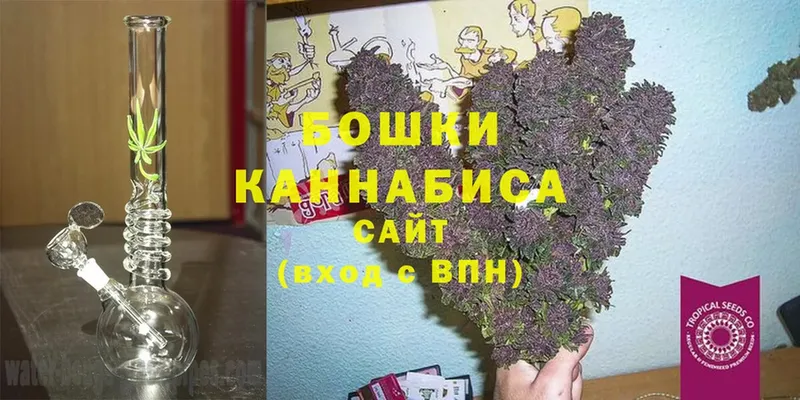 Бошки Шишки White Widow  Калязин 